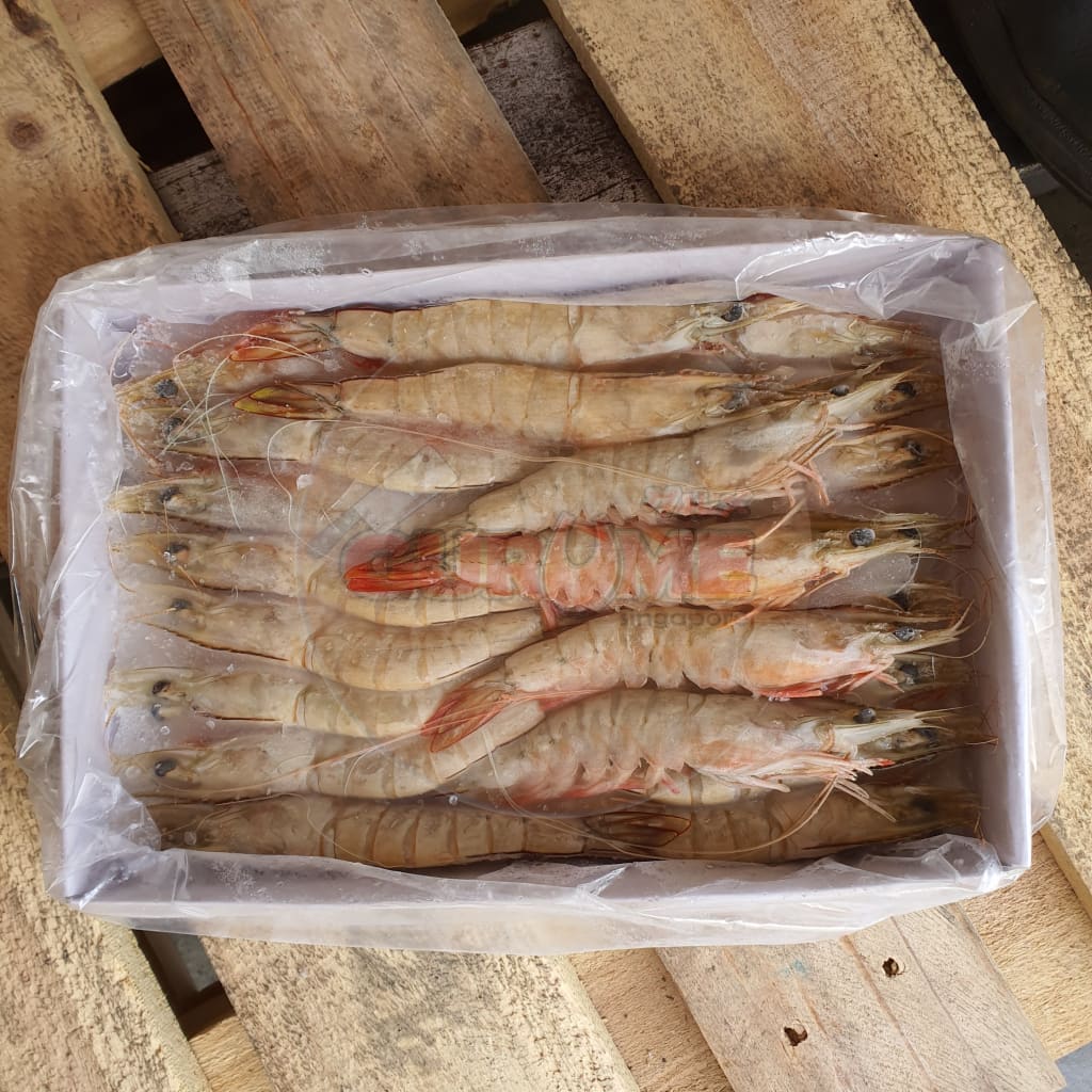 21/25 Sea Prawn (Ang Kar) Frozen Hoso (1Kg)