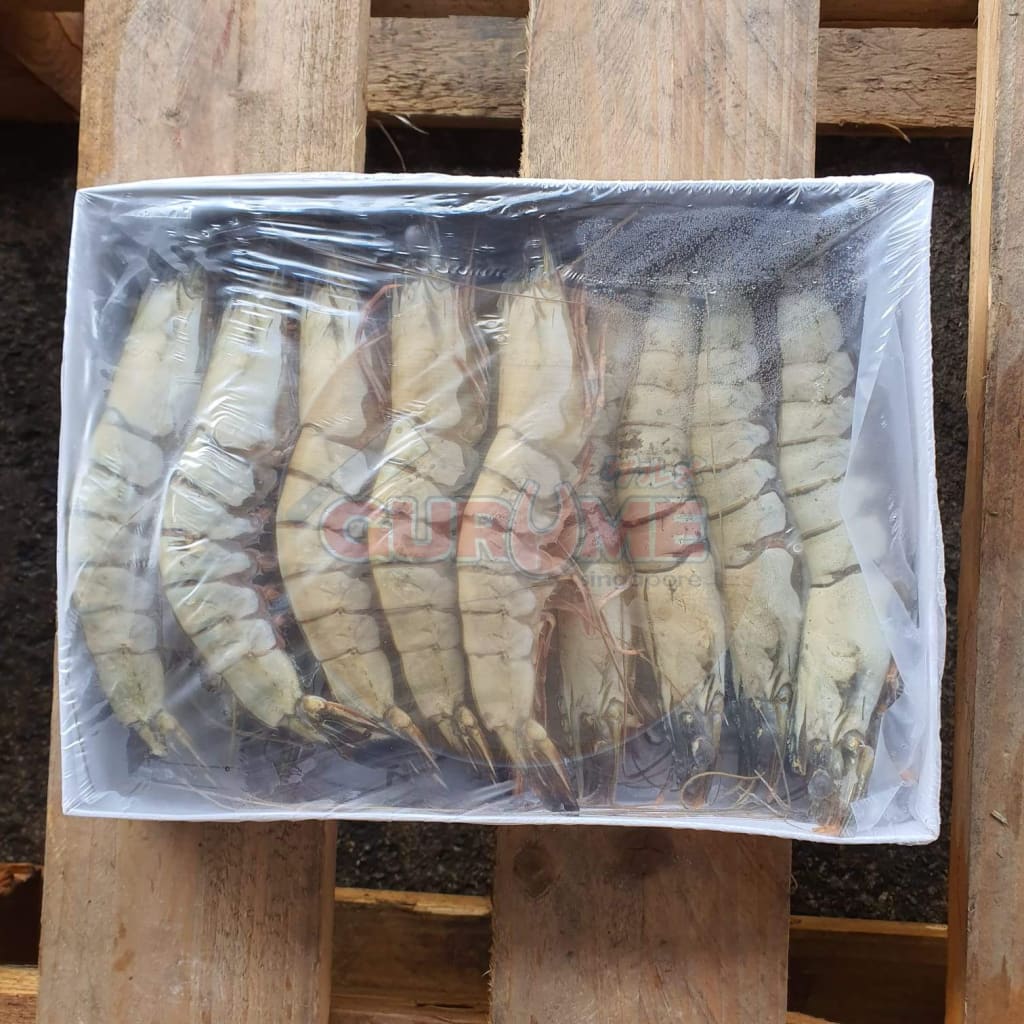 Blast Freeze 13/15 Tiger Prawn Hoso Live Frozen (1Kg)