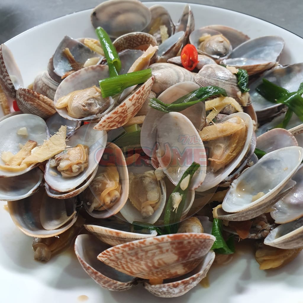 Frozen Flower Clams/flower Lala (500G) Clams