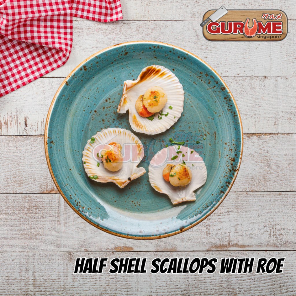 Frozen Half Shell Scallop (7-8 pcs) 1kg