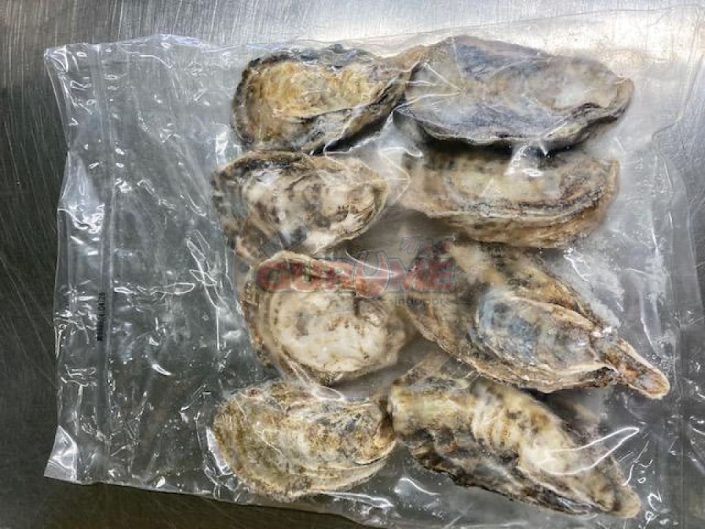 Japanese Sashimi Whole Shell Oyster M size (6 pcs)