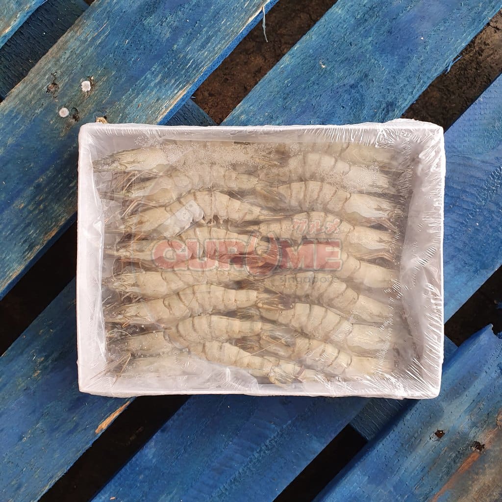 21/25 Whole Tiger Prawns Live Frozen Hoso (700G) Prawn