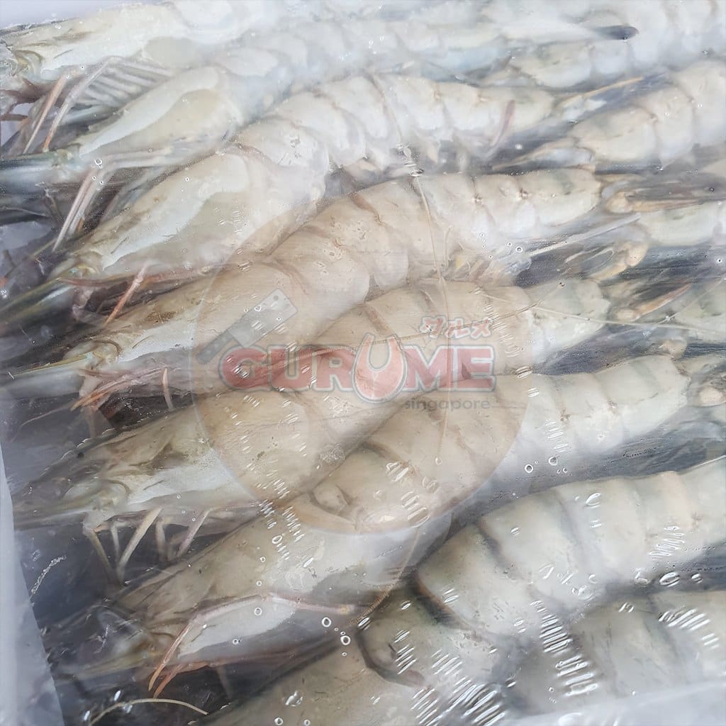 21/25 Whole Tiger Prawns Live Frozen Hoso (700G) Prawn