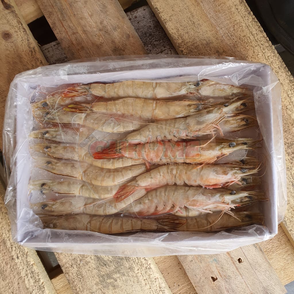 21/25 Sea Prawn (Ang Kar) Frozen Hoso (1Kg)