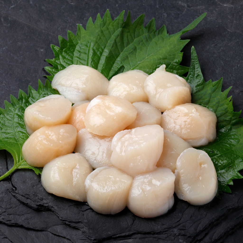 Wild Caught Sashimi Scallop Meat (1kg)