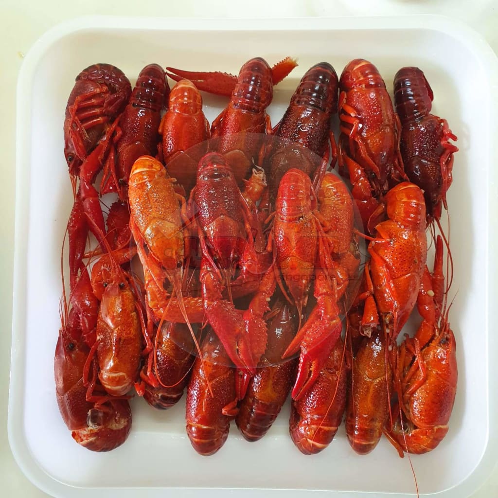 Baby Lobster (20-30G/lobster) 1Kg/packet